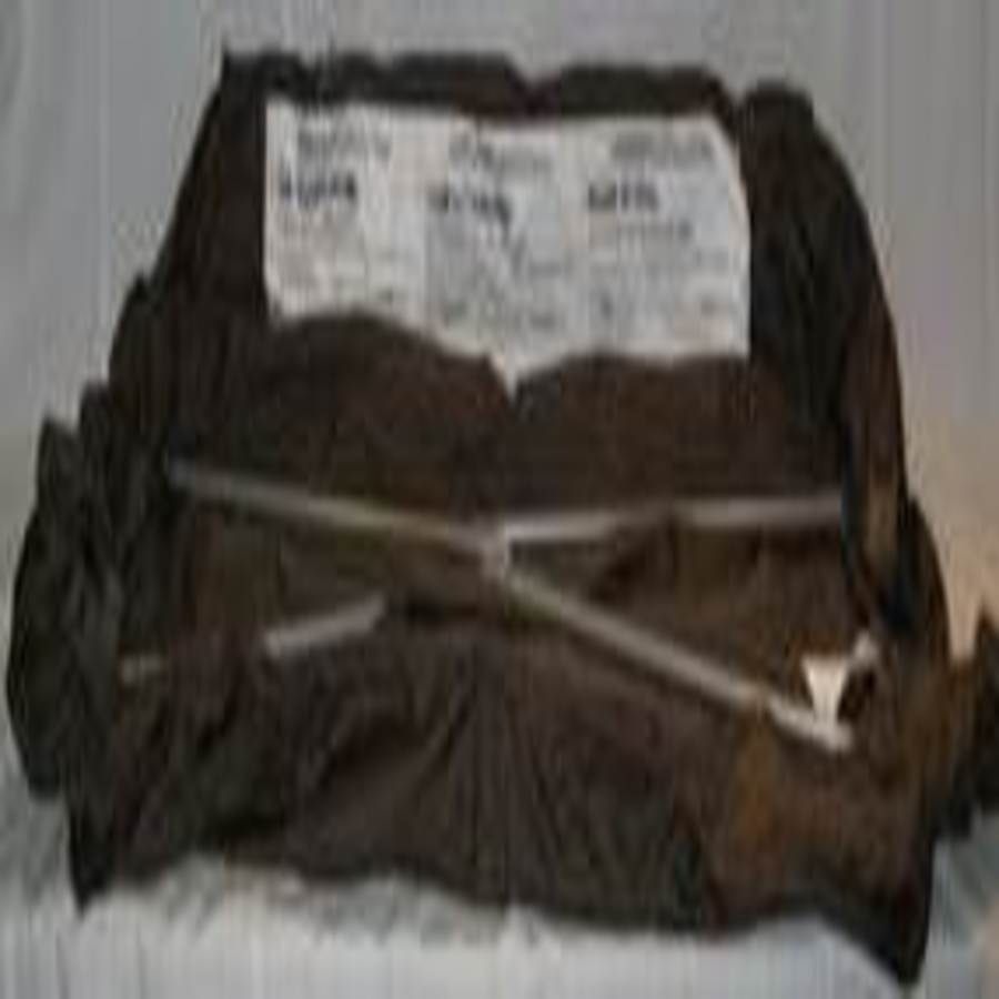 Zoo Friends Play Yards Replacement Bassinet Assembly, Zoo Friends