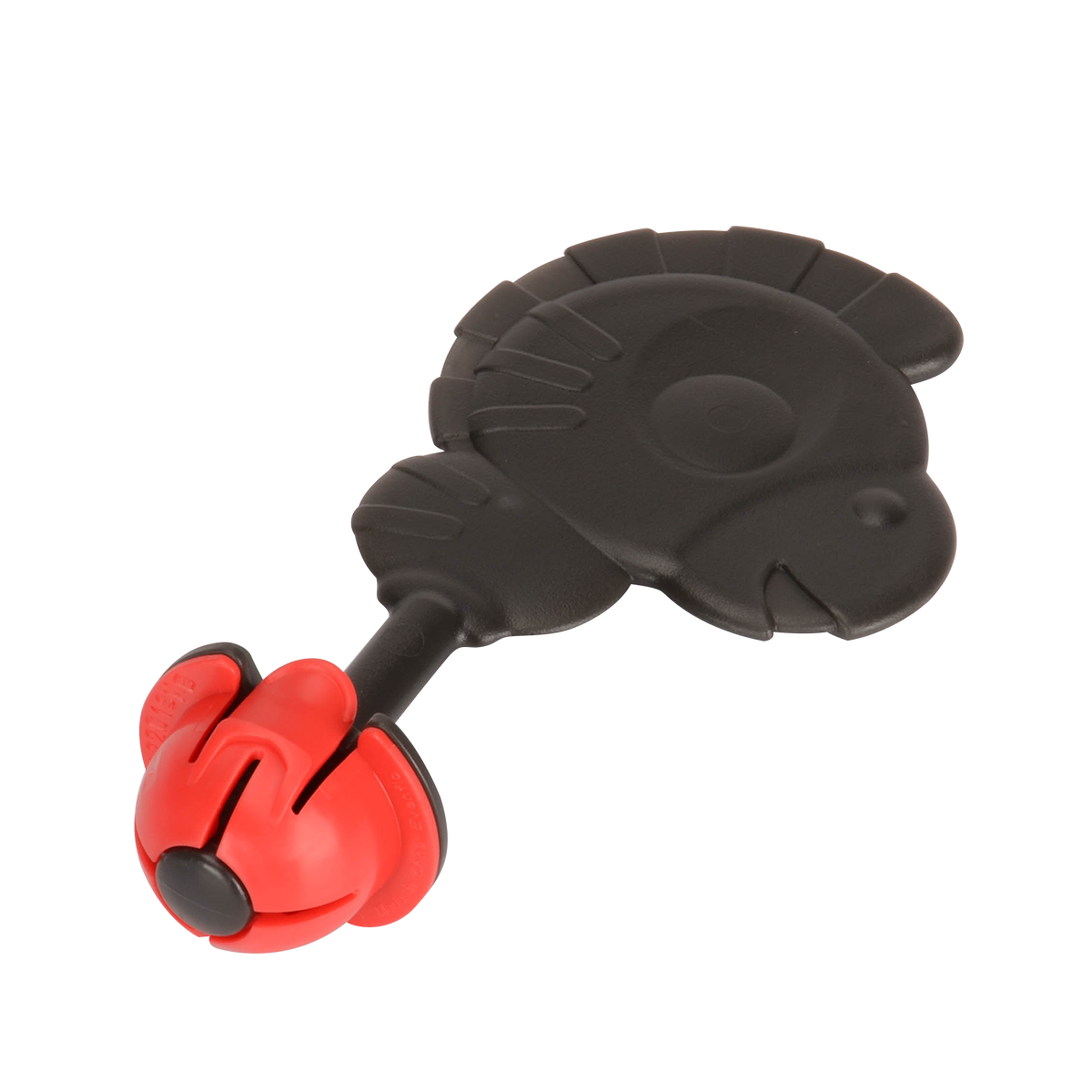 ASY,CRTN/LTHO,SAFARI,CSI,12/11