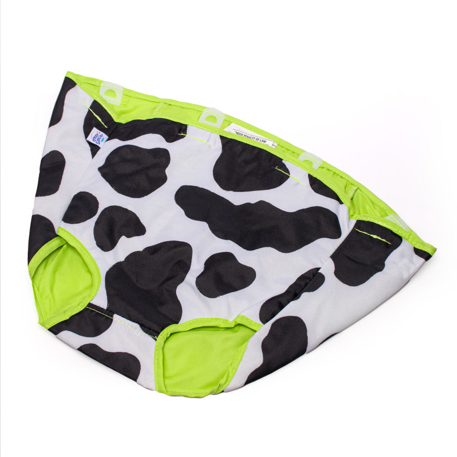 ExerSaucer Bouncing Activity Saucer Pad (Moovin' & Groovin')