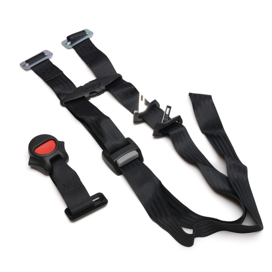 ASY,IMS HARNESS,CHASE